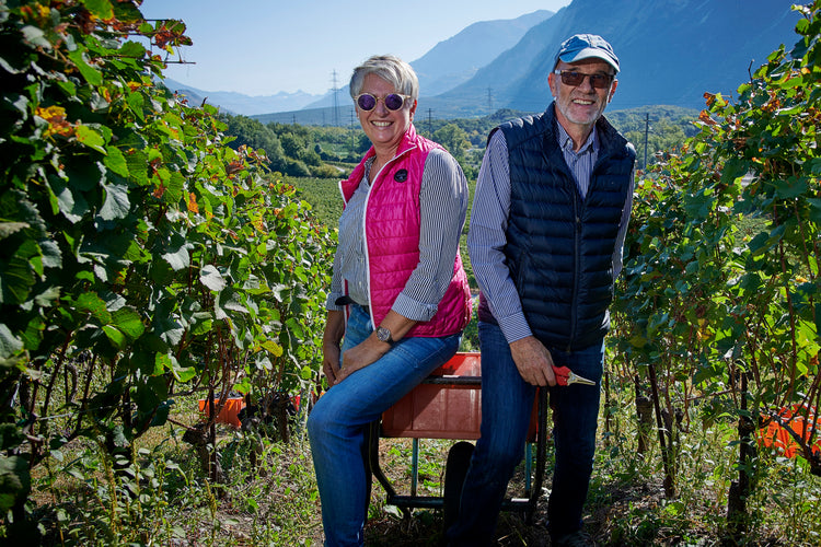 Weingut Constantin