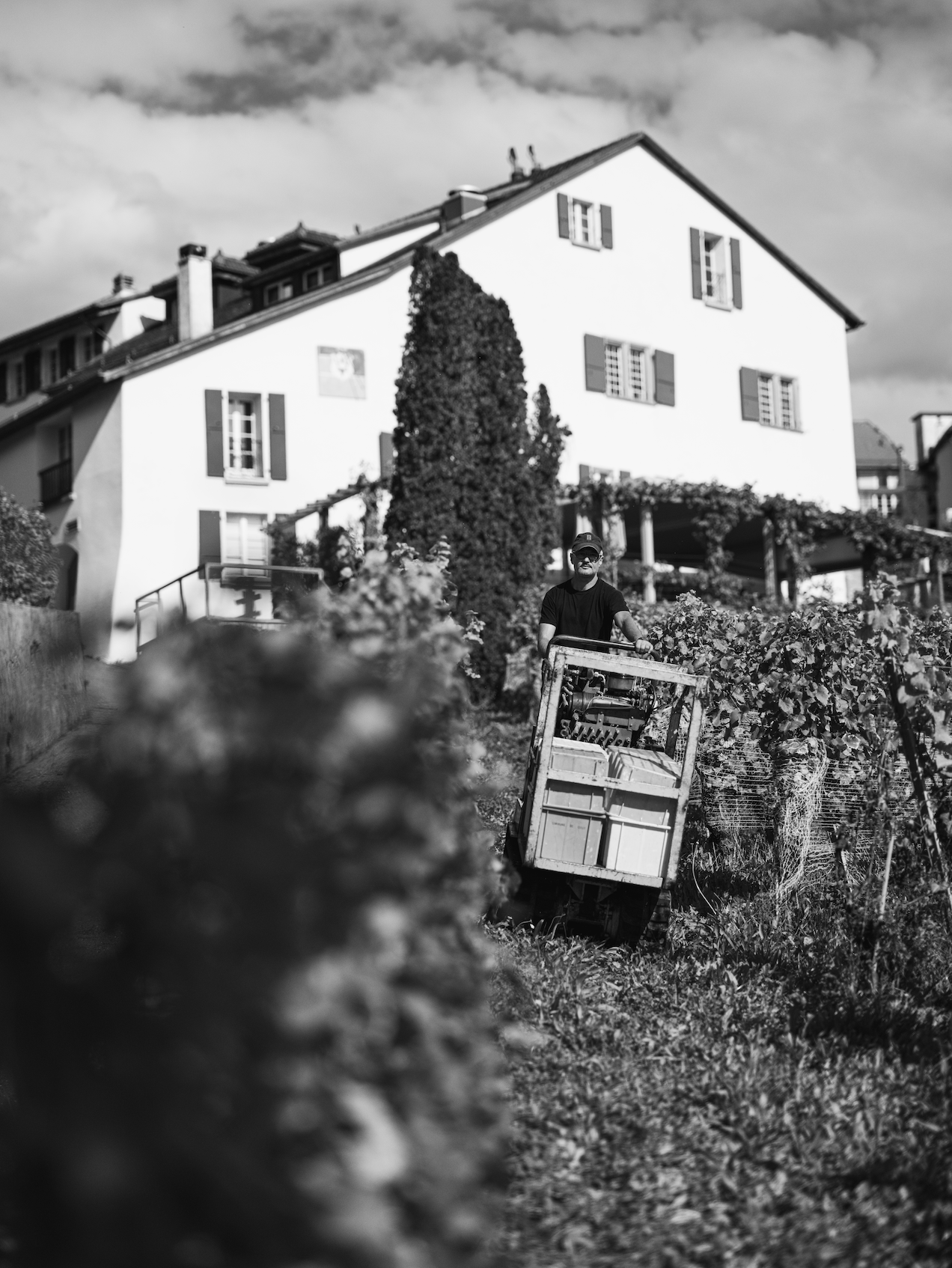 Domaine de la Crausaz