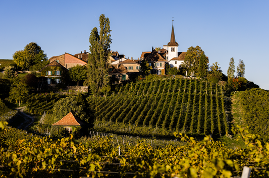 Domaine La Colombe
