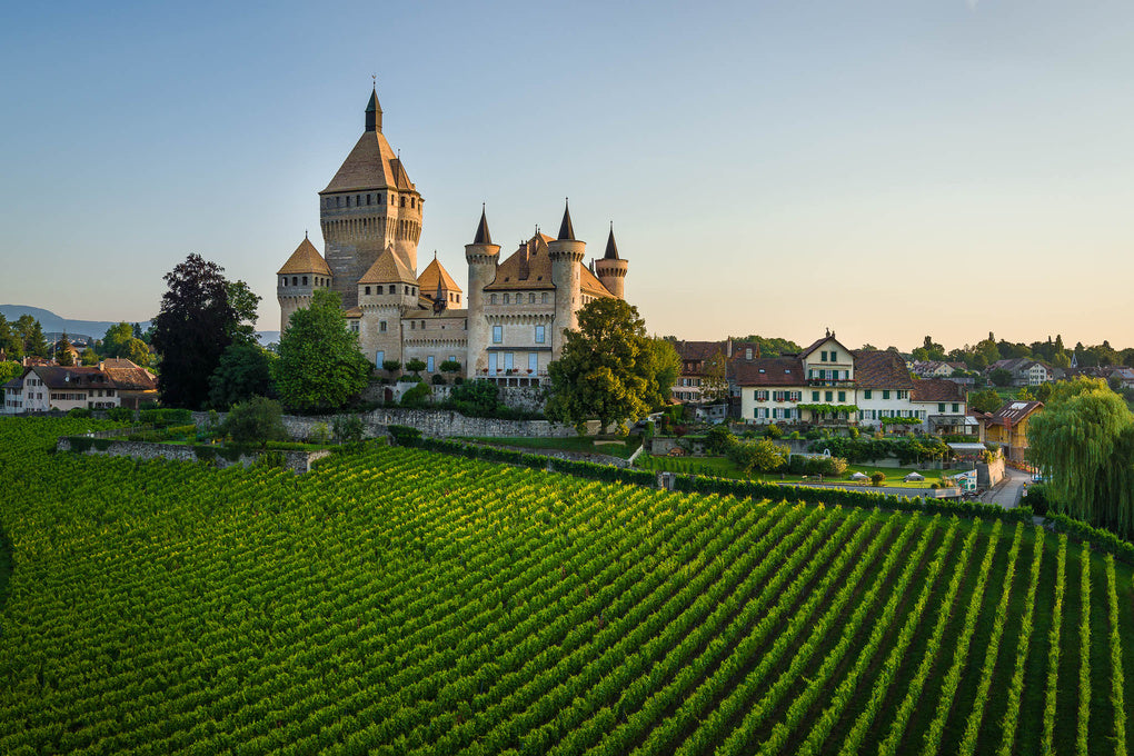 PEREY Vignerons-Encaveurs - Vufflens-le-Château et Echandens