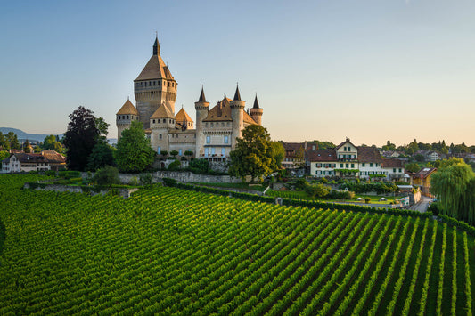 PEREY Vignerons-Encaveurs - Vufflens-le-Château et Echandens