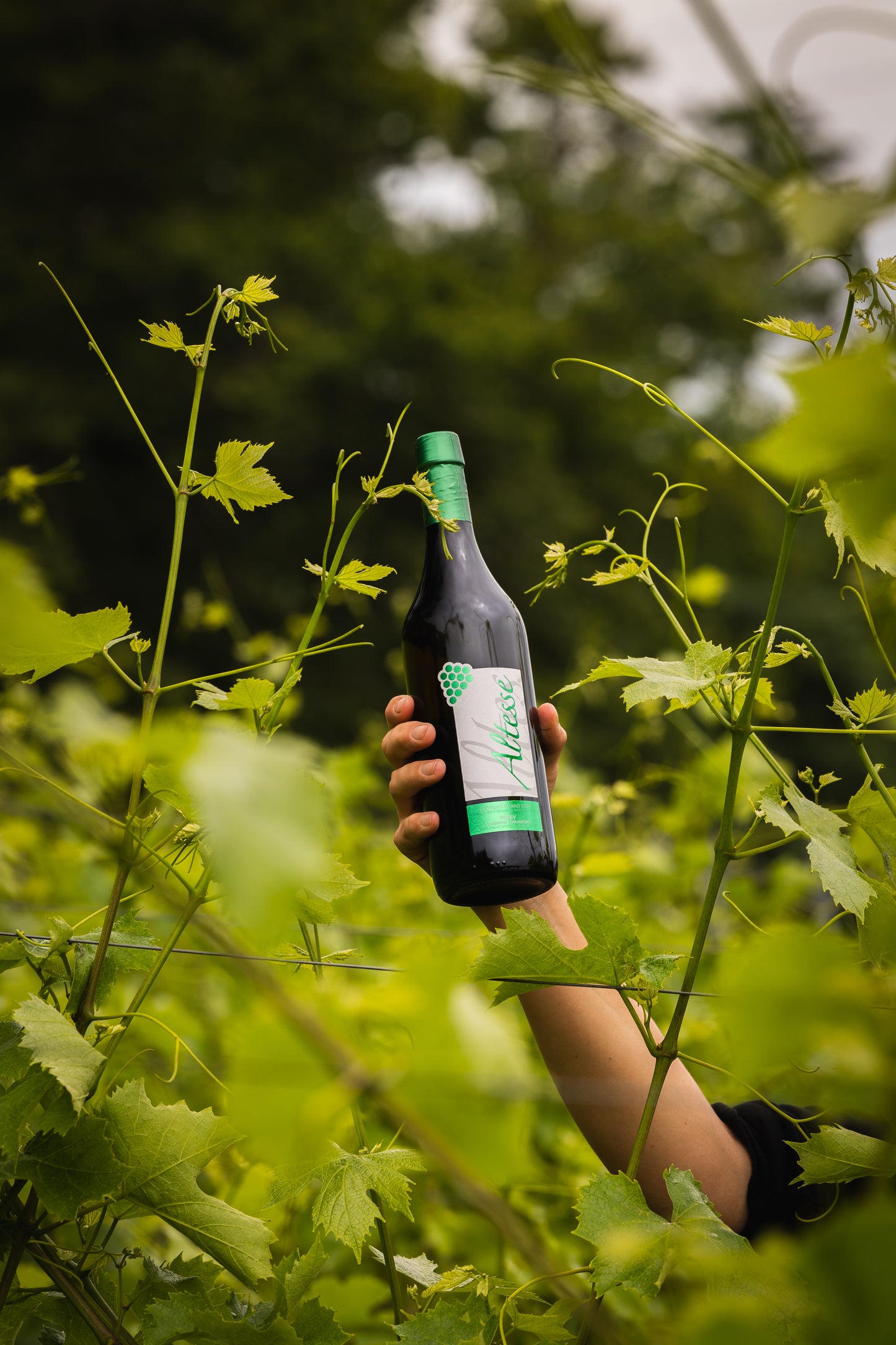 PEREY Vignerons-Encaveurs - Vufflens-le-Château et Echandens