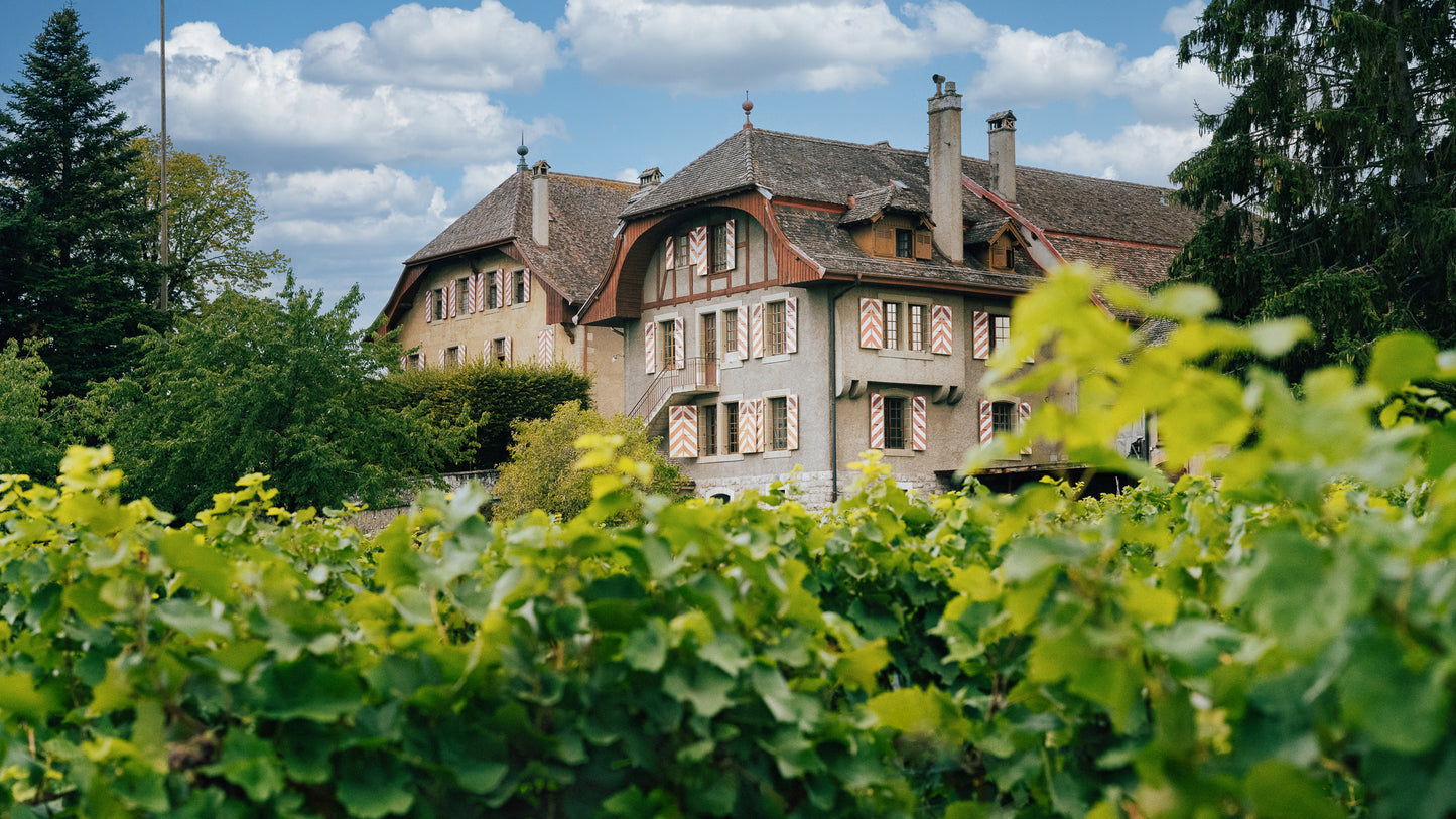 Abbaye de Mont - Ville de Lausanne