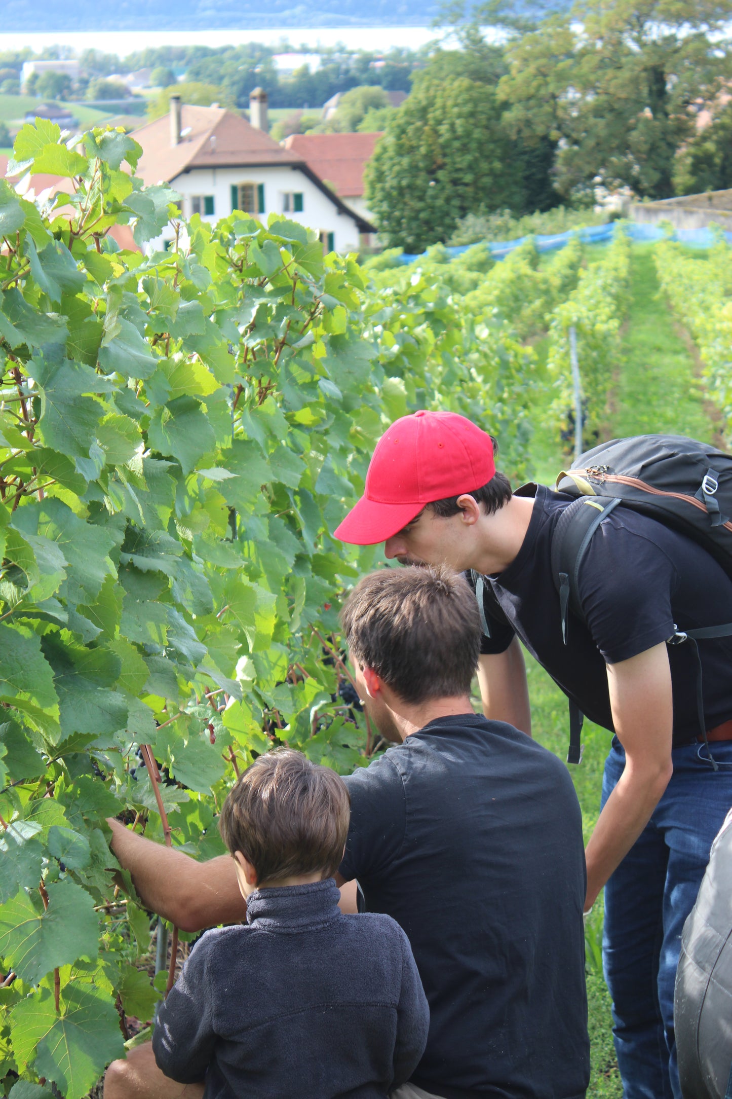 Cave des Viticulteurs de Bonvillars