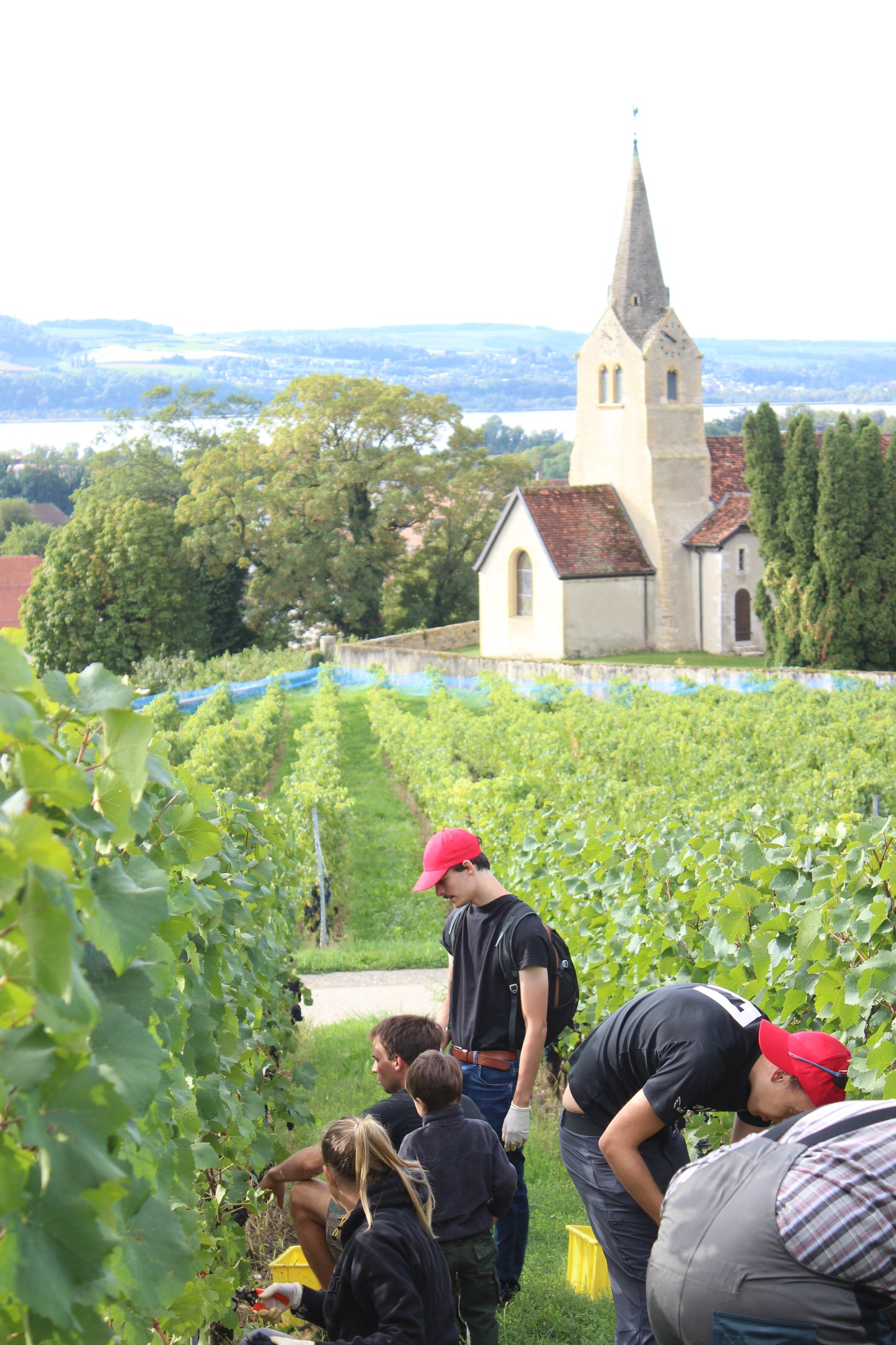 Cave des Viticulteurs de Bonvillars