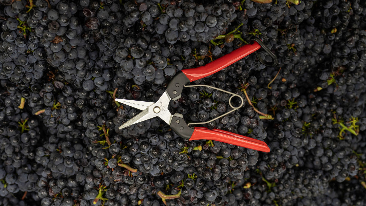 Domaine de Montmollin