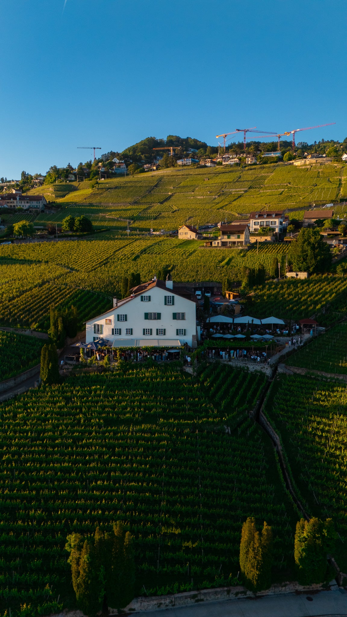 Domaine de la Crausaz
