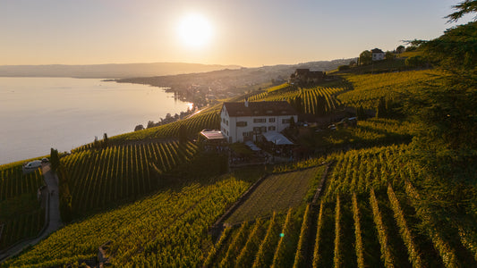 Domaine de la Crausaz