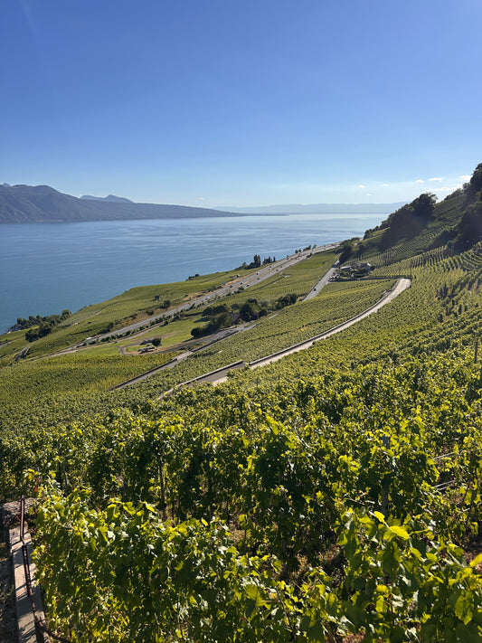 Domaine le Parrain
