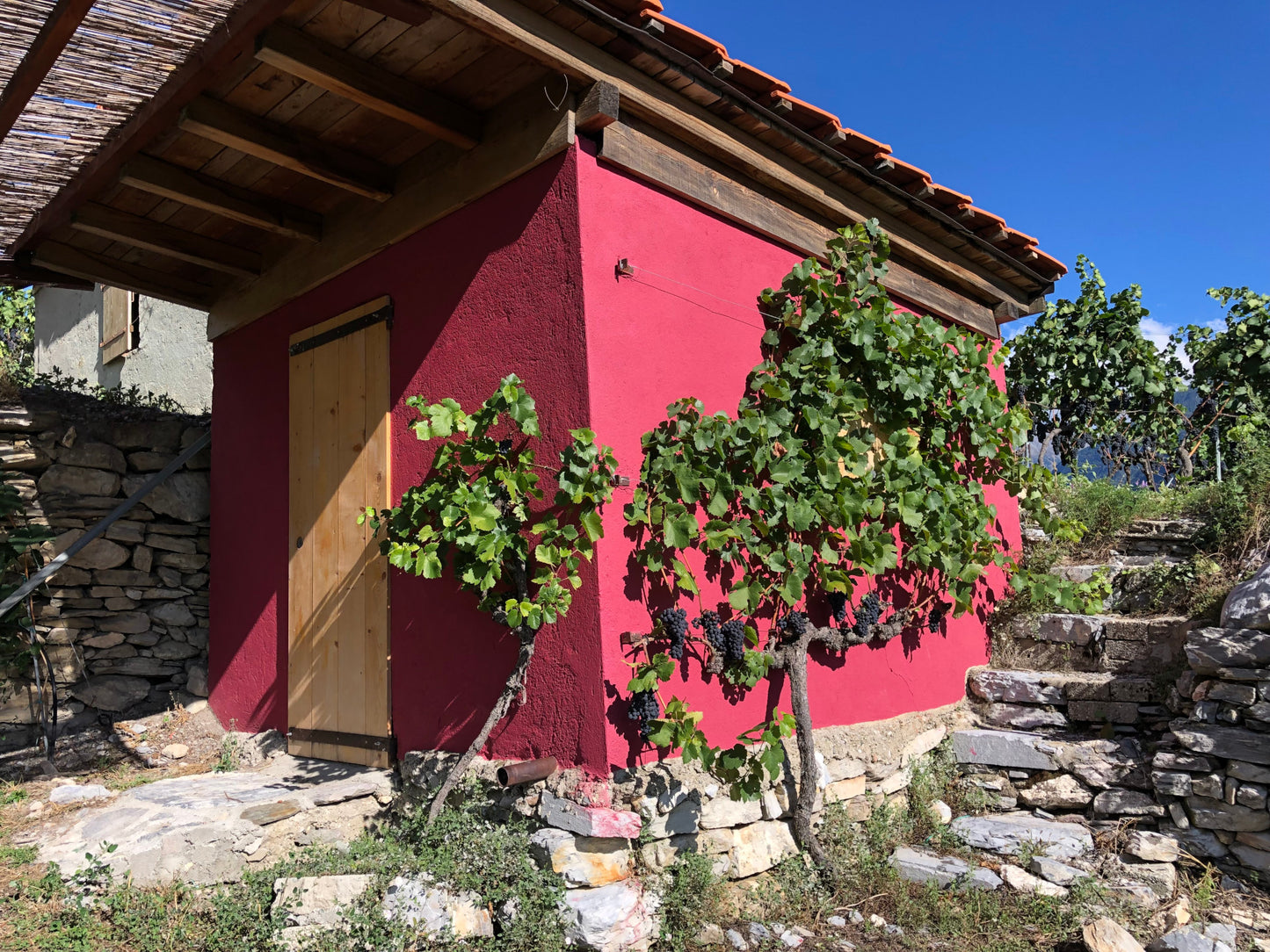 Weinschmiede  Reinhard & Christian SCHMID