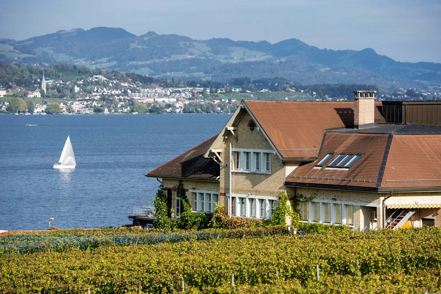 Dreistand - Weinbauzentrum Wädenswil